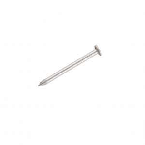 Galv 50mm Round Wire Nails 1kg