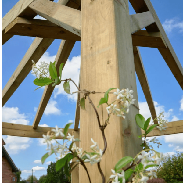 Premium Radial Pergola 2400mm x 2750mm x 2750mm