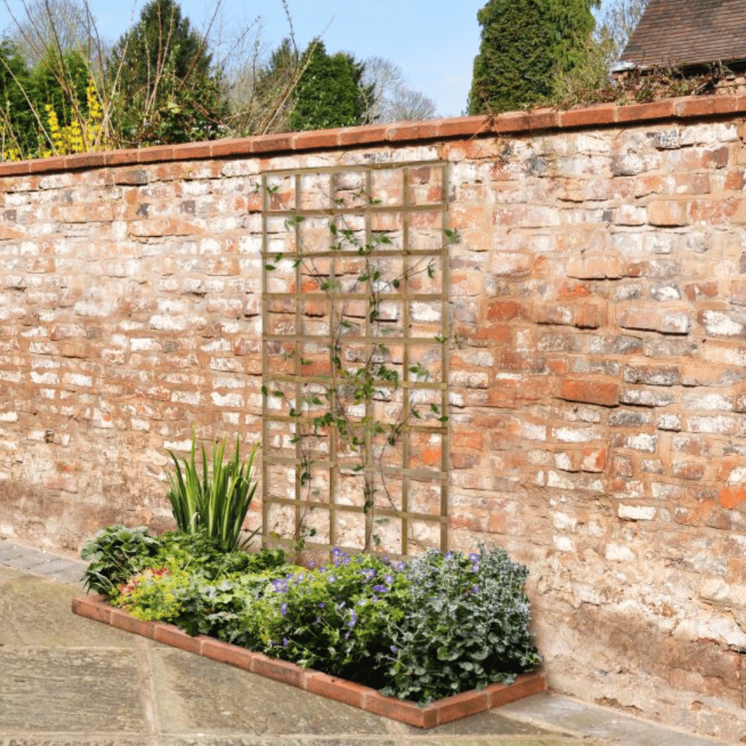 Smooth Planed Trellis 1800mm x 900mm