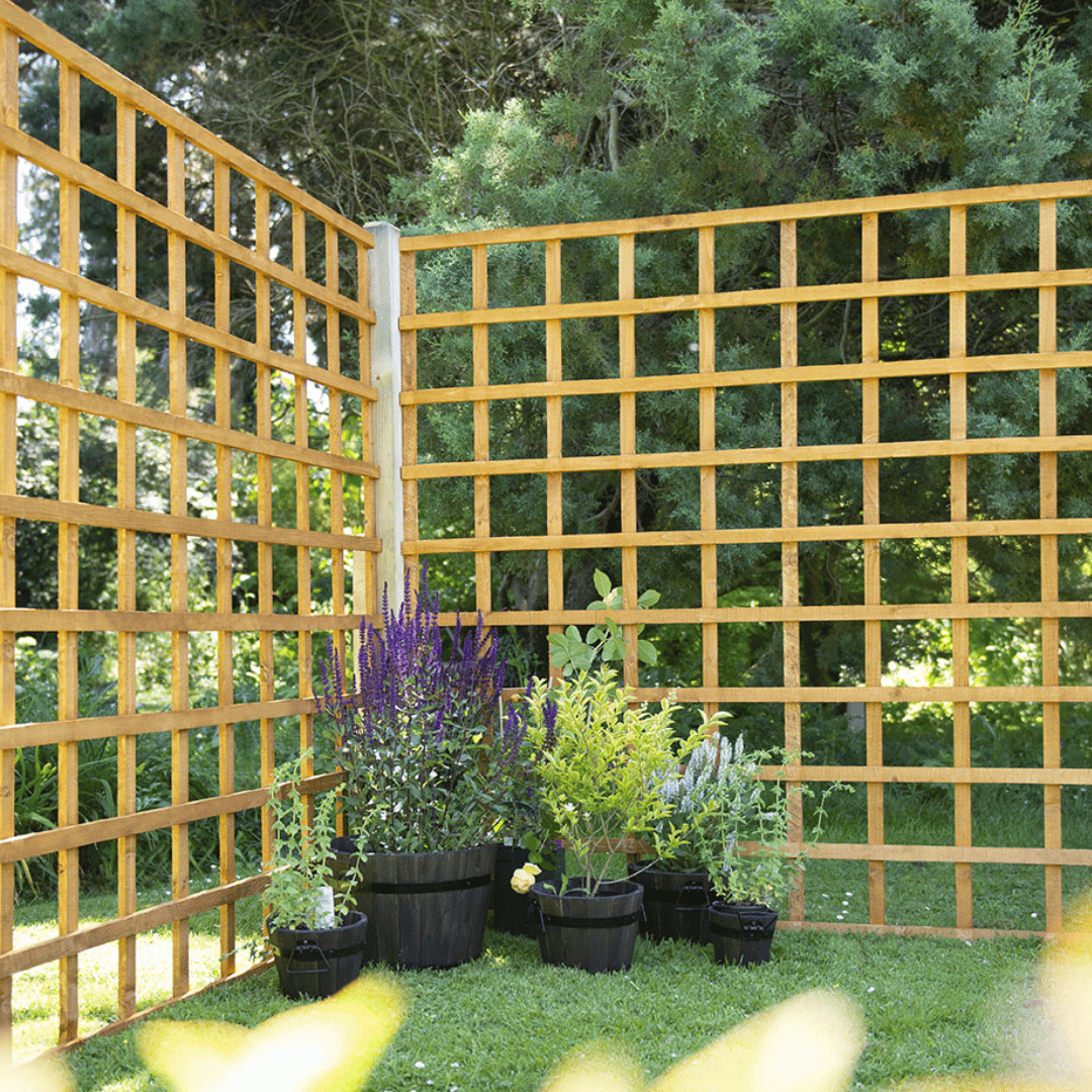 Heavy Duty Trellis 1830mm x 1830mm