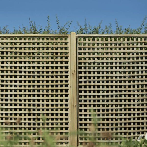 Premium Framed Trellis 1800mm x 1800mm